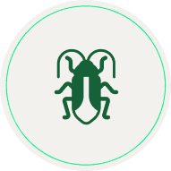 Cucarachas