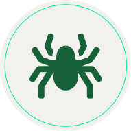 Arañas