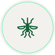 Mosquitos