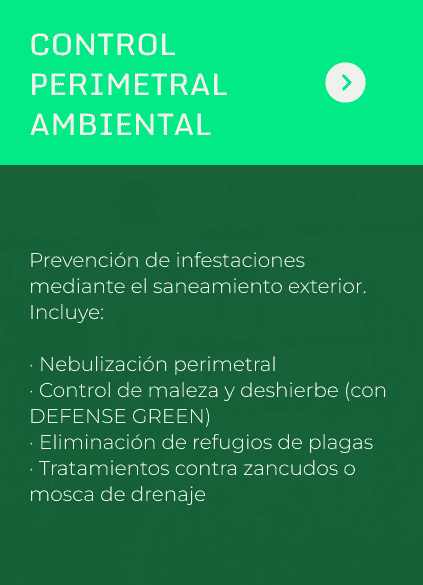 Control Perimetral Active