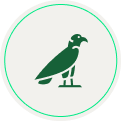 Aves