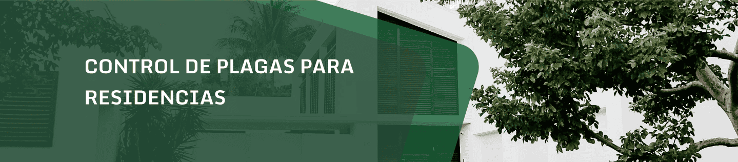 Control de Plagas Residencial