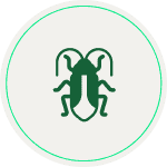 Cucarachas