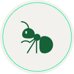 Hormigas
